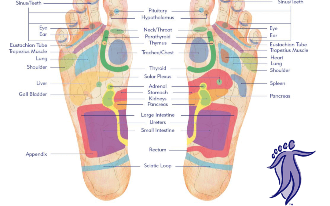 Reflexology and your bladder health