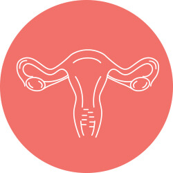 Fertility Series 1:  Polycystic Ovaries/Polycystic Ovary Syndrome