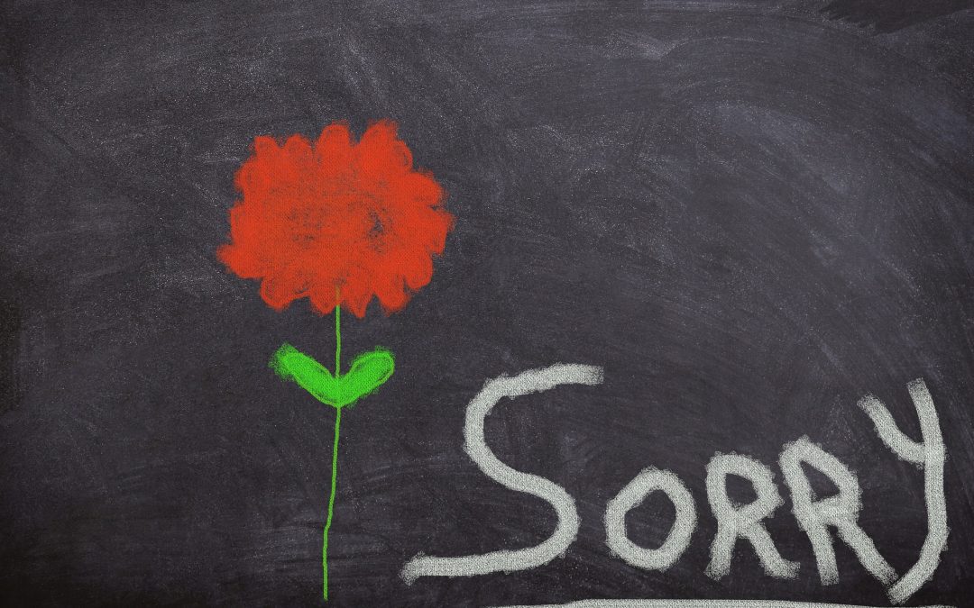 Why do women apologise so much?