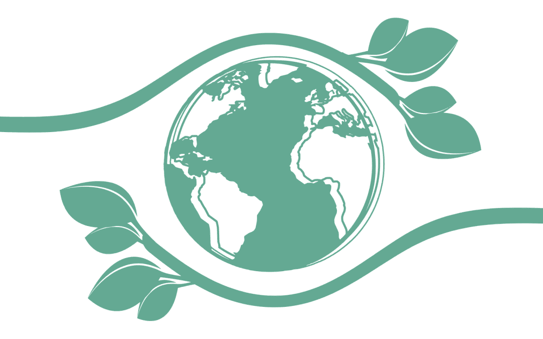 Environmental Impact Policy